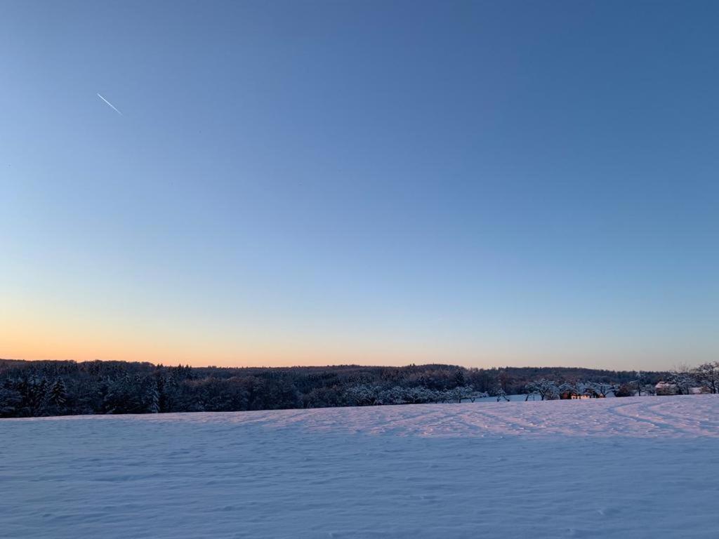 Modernes Ferienhaus Im Schwarzwald Freiamt Exteriér fotografie